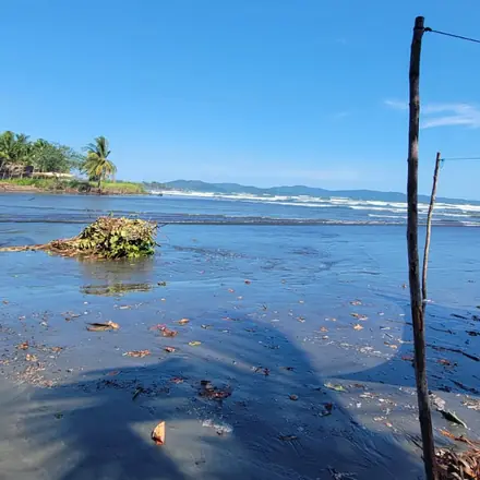 Dark sand, palm trees and rolling waves