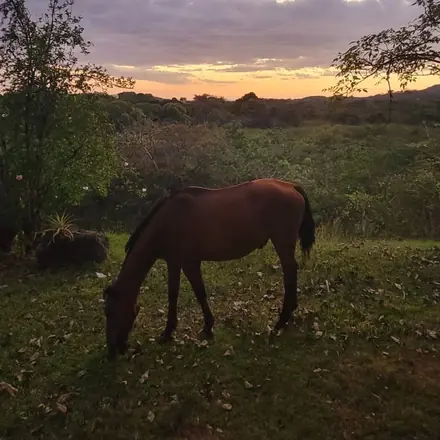 Sunset in the countryside