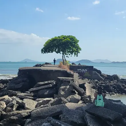 A lone tree on the rocks, facing the islands