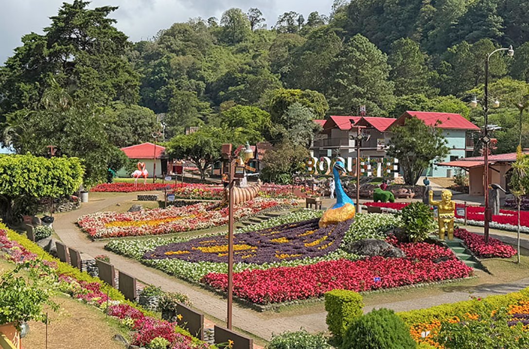 Flower gardens and highland scenery in Boquete, Chiriquí